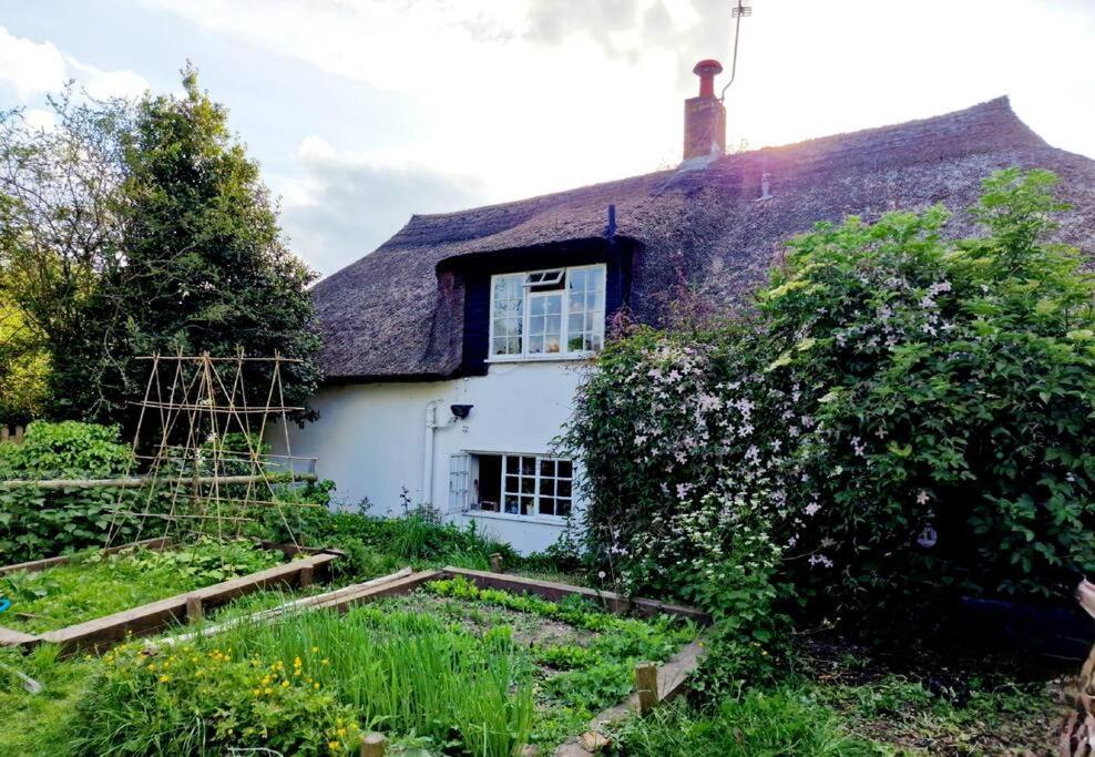 Piddle Puddle Cabin Dorchester Exterior photo
